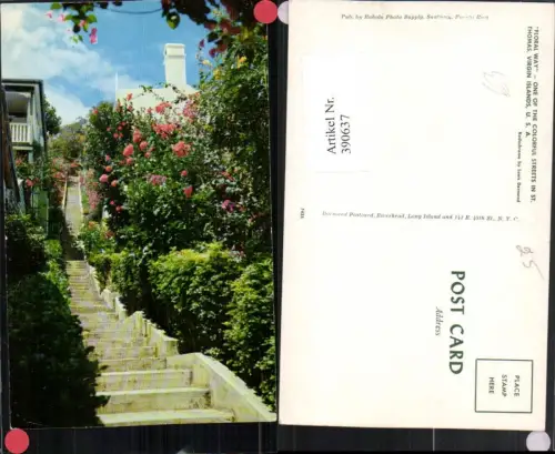 390637,Virgin Island Jungferninsel St. Thomas Floral Way Street Stiege