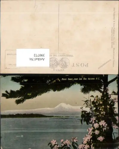 390772,Canada British Columbia Victoria Munt Baker from Oak By Bergkulisse