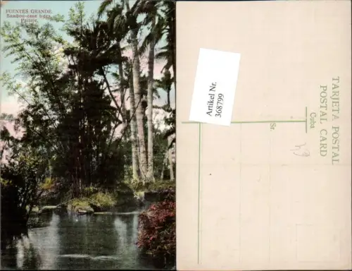368799,Kuba Cuba Havana Puentes Grande Bamboo-cane trees Paisaje Bambus