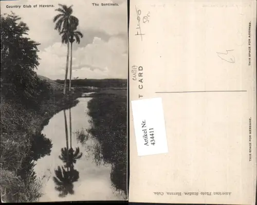 434411,Cuba Kuba Havana Country Club Sentinels Landschaft Palmen