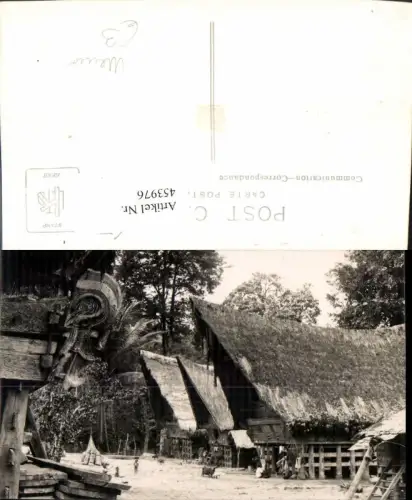 453976,Foto AK Mexico Hütten Tiere