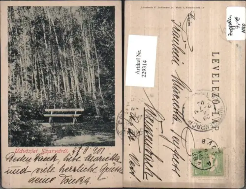 229314,Üdvözlet Szarvarol Szarva Partie Birken Sitzbank
