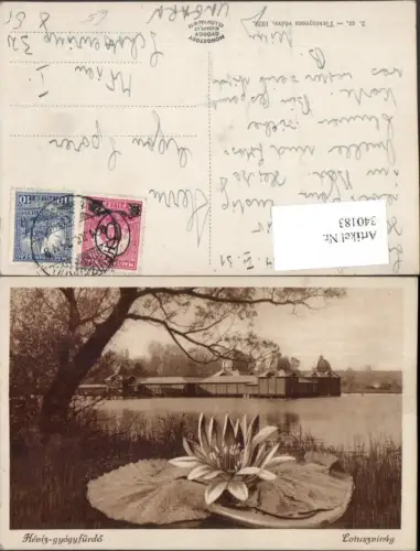 340183,Heviz gyogyfürdö Bad Lotuszvirag Lotusblume