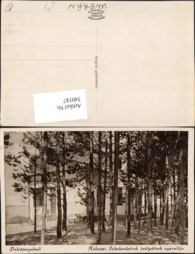 340187,Balatonszabadi Kalocsai Iskolanöverek intezetenek nyaraloja Haus Bäume