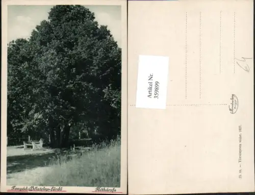 359899,Hungary Fonyod-Belatelep-fürdö Hetharsfa Baum
