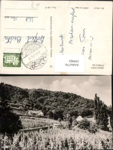 359903,Hungary Badacsony Kisfaluday-haz Weinreben
