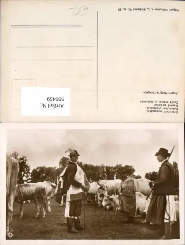 599459,Foto Ak Debrecen baromvasar Debreciner Viehmarkt Rinder Tracht Hungary