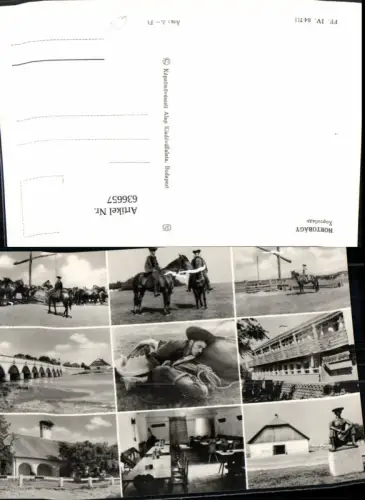 636657,Mehrbild Ak Hortobagy Pferde Volkstypen Ziehbrunnen Hungary