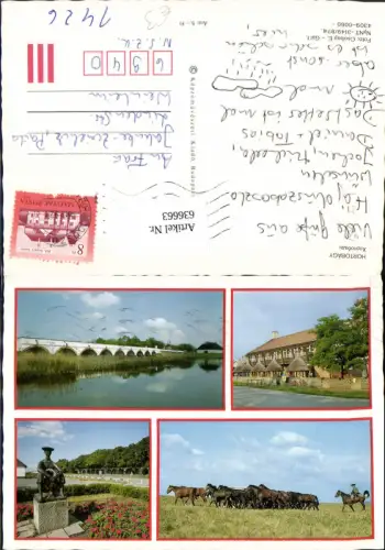 636663,Mehrbild Ak Hortobagy Pferde Reiten Brücke Hungary