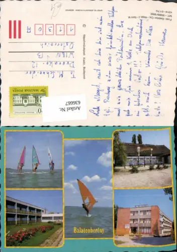 636667,Mehrbild Ak Balatonbereny Windsurfen Hungary