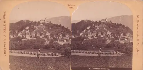 Stereo-Fotografie Deutsch-Feistritz Deutschfeistritz 1880 pub M. Frankenstein