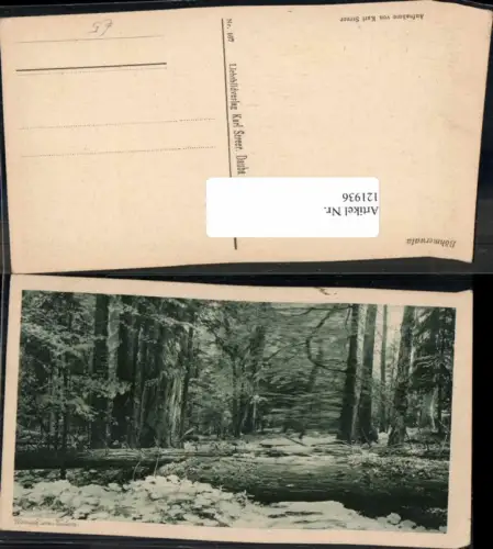 121936,Urwald am Kubani Böhmen Böhmerwald
