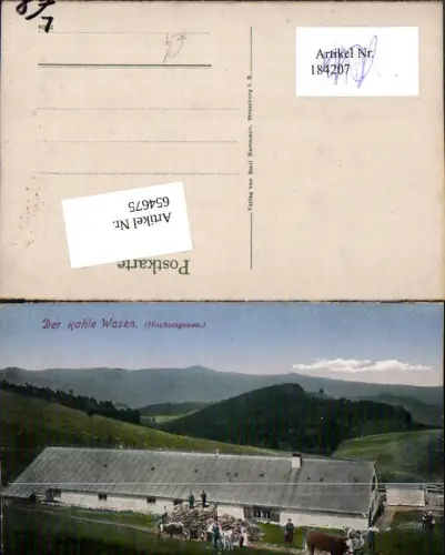 654675,Elsass Der Kahle Wasen Hochvogesen Vogesen Luttenbach Munster
