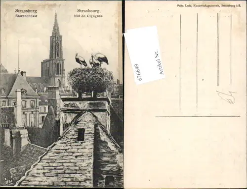 676649,Strassburg Strasbourg Elsass Storch Störche
