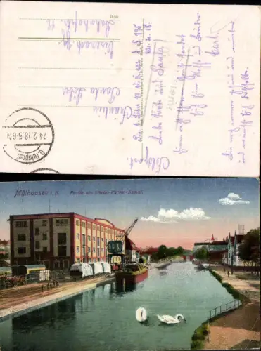 702214 Mülhausen im Elsass Partie am Rhein Rhone Kanal Schwäne Schwan
