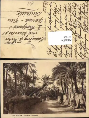 107608,Biskra Dans Palmen