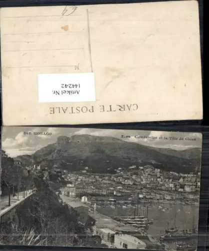 144242,Monaco Condamine et la tete Chien