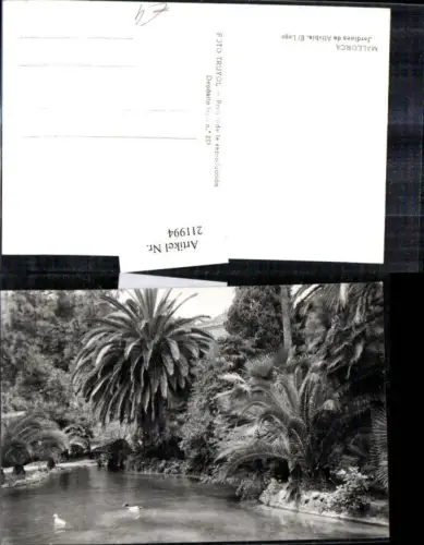 211994,Mallorca Jardines de Alfabia El Lago Partie Palmen