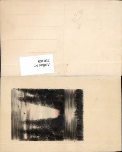 550360,Künstler AK handgemalt Bäume