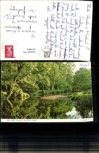 671983,New Forest Stream at Balmer Lawn United Kingdom
