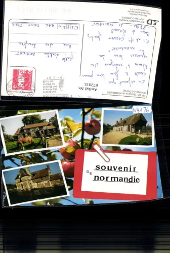 672015,Mehrbild Ak Souvenir de Normandie Fachwerkhaus Pferd France
