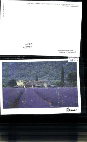 672059,Provence Le mas parfume France Lavendelfeld Lavendel