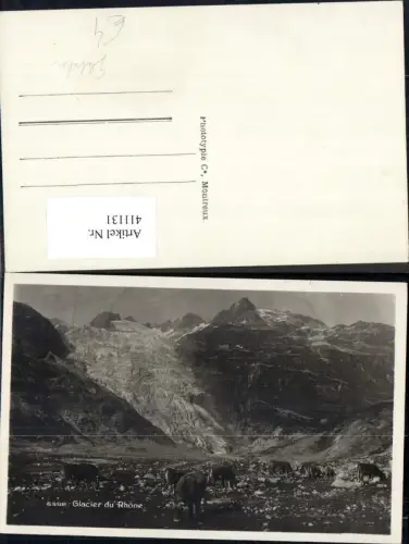 411131,Foto Ak Gletscher Glacier du Rhone