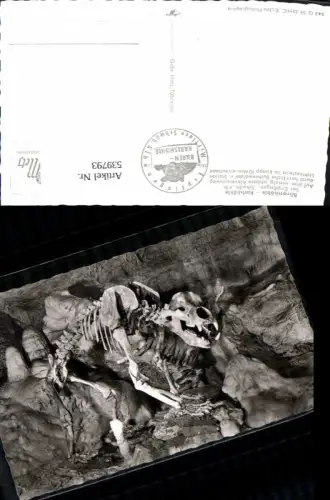 539793,Bärenhöhle Karlshöhle Erpfingen Skelett Höhle Grotte