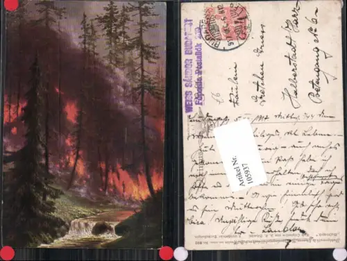 105937,Waldbrand Brand Feuer Bäume Katastrophe F.X. Schmidt