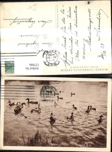 127886,Tiere Enten Entenfamilie a. Wasser pub Tierschutzverein