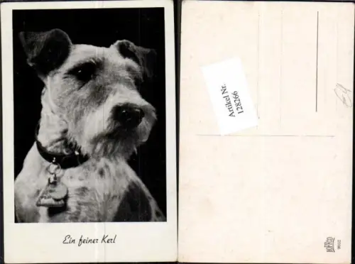 128266,Hund Dog Terrier