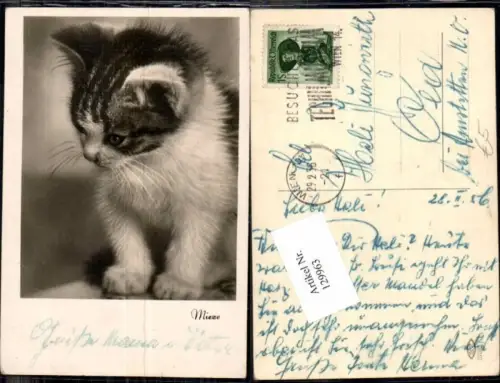 129963,Mieze Süsse AK Katze Cat