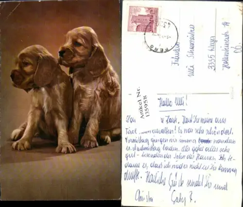 135958,Süsse Hunde Hund
