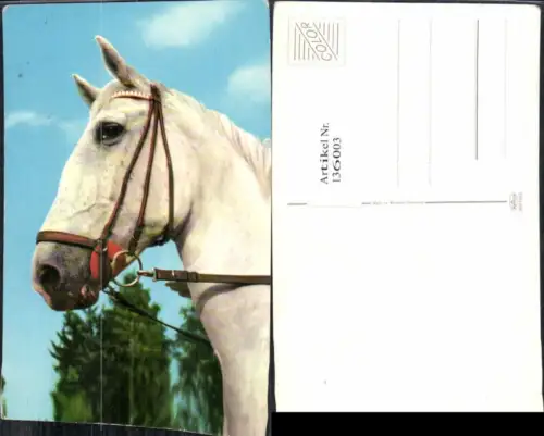 136003,Pferde Pferd