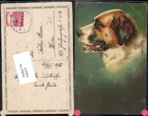 148453,Hund Bernhardiner