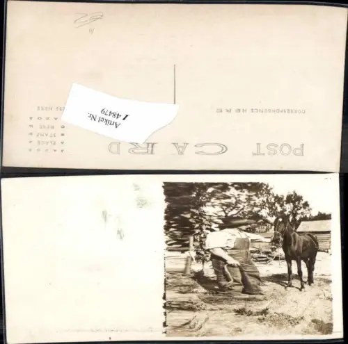 148479,Pferde Pferd FotoAK Bauer