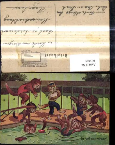 163165,Künstler Ak Katzen vermenschlicht b. Schwimmen Schwimmbad