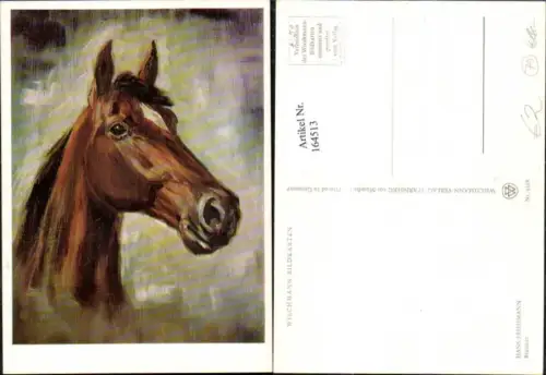 164513,Pferd Pferdekopf Brauner