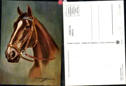 164514,Pferd Pferdekopf Brauner i. Geschirr