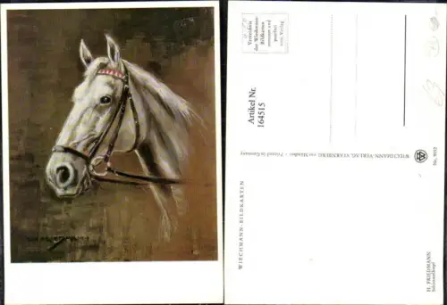 164515,Pferd Schimmelkopf Pferdekopf m. Geschirr