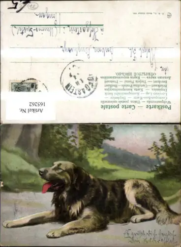 165262,Hund liegend Weg Bäume