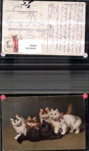 169010,Tier Katze Katzen Schleife pub T S N 1564