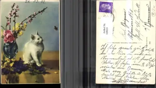 169019,Tier Katze Blumenvase Blütenzweig Schmetterling