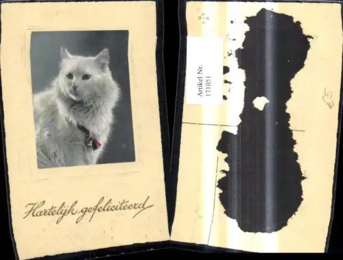 171051,Weisse Katze m. Glocke um Hals Präge Passepartout Hartelijk gefeliciteerd