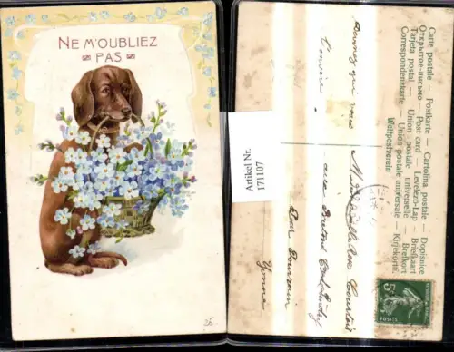 171107,Präge Künstler Ak Hund Dackel m. Korb Blumenkorb Ne Moubliez Pas Ornament