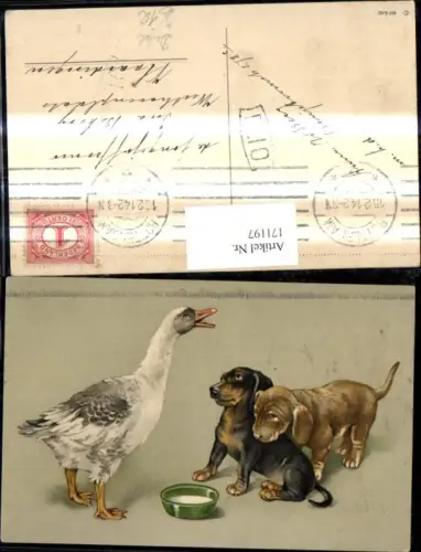 171197,Künstler Ak Hunde Dackel Welpen m. Gans Milchschüssel