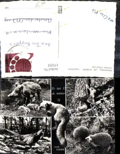 171233,Mehrbild Ak Tiere Laag Soeren Fuchs Wildschein Igel Reh Fasan