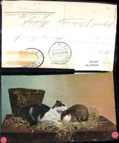 184181,Künstler Ak Hasen i. Stroh Korb Tiere