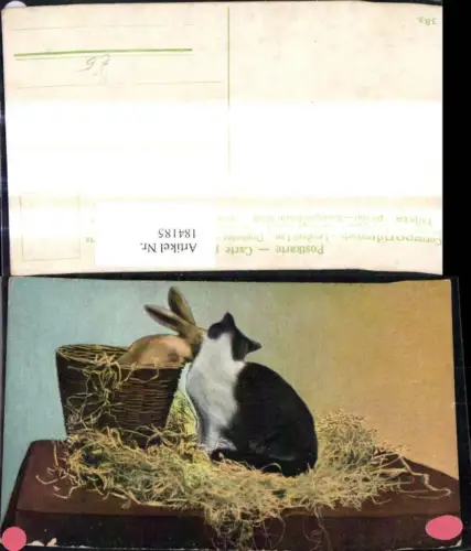 184185,Künstler Ak Hasen in u. bei Korb Stroh Tiere