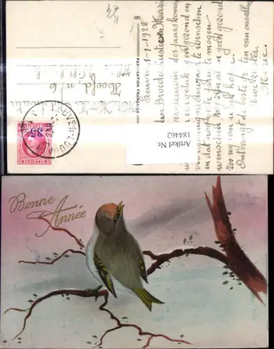 184462,Künstler Ak Vogel a. Ast Bonne Annee
